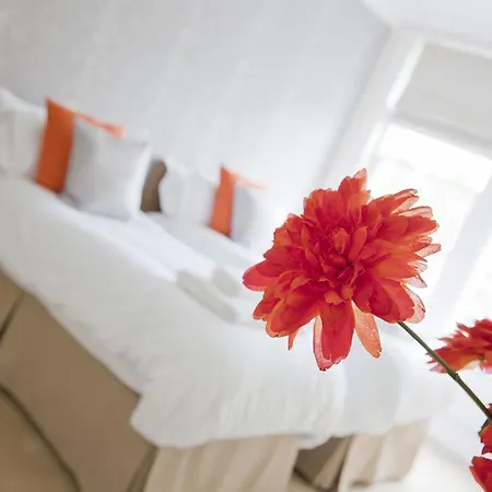 Kings Road Deluxe 1 Or 2 Bedroom Harrogate